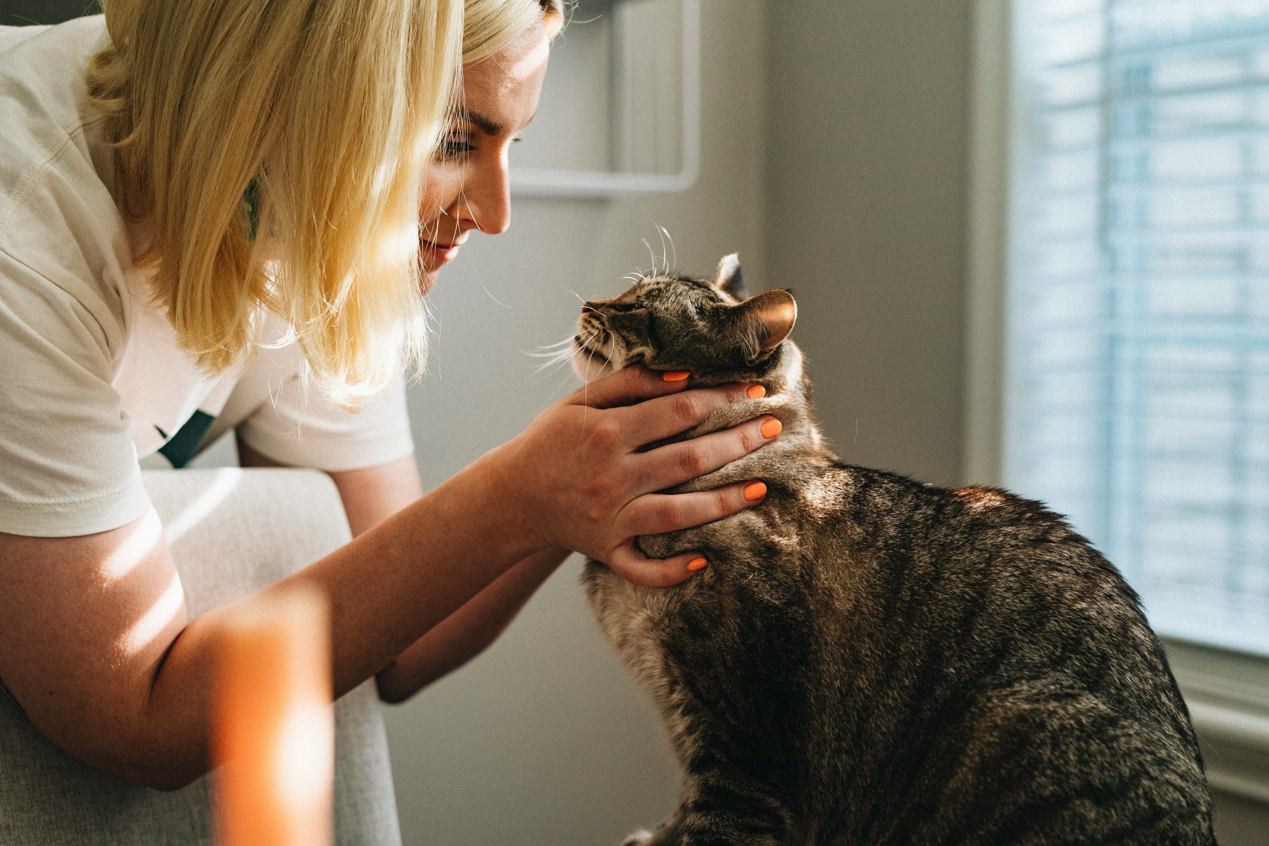 Médica Veterinária PetCare cuidando com carinho de animal de estimação